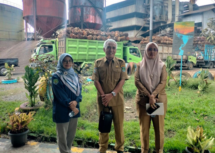 Dinas Pertanian Turun ke PKS, Harga Sawit Bengkulu Tengah Mulai Merangkak Naik Menuju Rp3.000/Kg