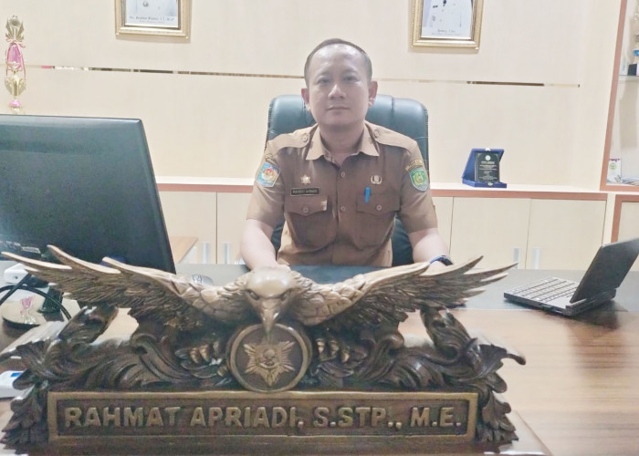 Selter JPTP Bengkulu Tengah Baru 1 Pelamar Submit, Pendaftaran Sisakan 7 Hari Lagi