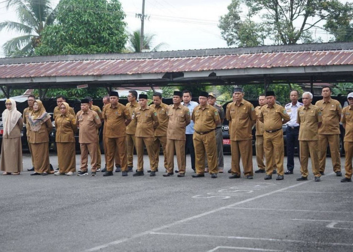 Lelang Jabatan Eselon II Diminati Pelamar dari Luar Bengkulu Tengah, Total Pendaftar 48 ASN