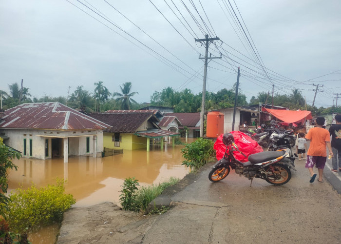 Banjir Rendam Sejumlah Desa di Bengkulu Tengah, Kades Taba Terunjam Harapkan Perhatian dan Solusi