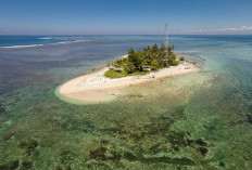 Fakta Menarik Wisata Pulau Tikus Bengkulu, Cocok Buat Kamu Pecinta Snorkeling