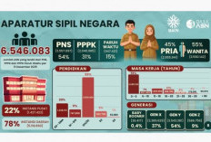 Jumlah PPPK dan P3K PW 2,98 Juta dari Total ASN, Bakal Dikontrak Terus?