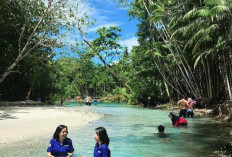 Keindahan Bikin Takjub, Cek Fakta Menarik Pulau Enggano Wisata Bahari Unggulan di Kabupaten Bengkulu Utara