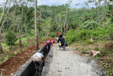 Pekerjaan Drainase Desa Penum Masuk Tahap 70 Persen, Minggu ini Dipastikan Rampung