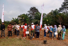 Peringatan HUT OJK, Desa Sri Kuncoro Kebagian 1.200 Bibit Pohon Produktif