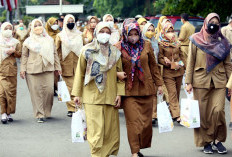 Formasi CPNS 2024 & PPPK Diserahkan, Semoga Polemik Honorer Terselesaikan