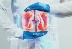 Kenali Gejala Awal Kanker Ginjal pada Usia Muda, Jangan Abaikan Hal Ini