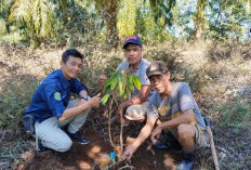 Usulan Bantuan Bibit Padi dan Alat Pertanian Masih Dalam Proses Verifikasi Pusat