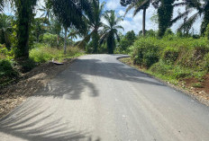 Akses Jalan Pagar Jati–Pematang Tiga Kini Mulus, Warga: Seperti Mimpi!