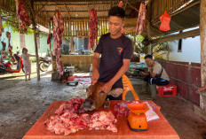Daging Laris Manis Jelang Lebaran, Penjualan Tembus Ratusan Kilogram per Hari
