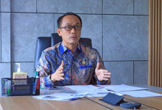 Kepala BKN: Honorer dalam Database Tak Boleh Diberhentikan