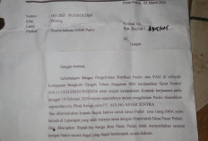Uji Coba Parkir Desa Tuai Kritik, Tak Nyaman dan Dinilai Tak Profesional