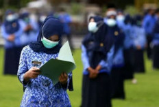 PPPK Paruh Waktu Ingin Aspirasinya Didengar Pemerintah dan DPR, Turun ke Jalan Solusi Terakhir