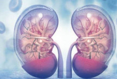 Jaga Kesehatan Ginjal dengan Menggunakan 3 Cara Alami Ini