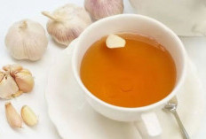 4 Manfaat Bawang Putih Campur Madu, Bikin Kanker Ogah Menyerang