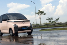 Mengulik Prestasi 2 Tahun Wuling Air ev di Industri Otomotif Indonesia