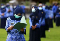 2.307 Honorer Jadi PPPK Paruh Waktu, Bupati Singgung Kemungkinan Diangkat PNS