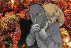 Kasus Pencurian Sawit Marak, Polisi Amankan Dua Warga Sidorejo