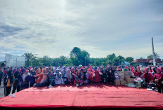 Ratusan Peserta Padati Senam Massal Peringatan HUT PGRI, Korpri, dan HGN