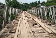Gubernur Diminta Ikut Perhatikan Jembatan Paku Haji Rusak, Akses Terancam Lumpuh