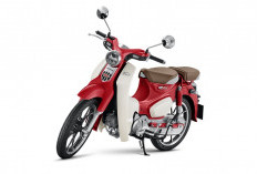 Honda Super Cub C125 Punya Warna Baru, Makin Ikonik dengan Harga Rp 77 Jutaan