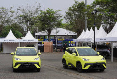 Mengenal BYD ATTO 1, City Car Berenergi untuk Mobilitas Penuh Efisiensi