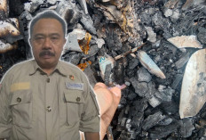 LSM Projamin Pertanyakan Nasib Uang Dana Desa yang Terbakar di Desa Pekik Nyaring 