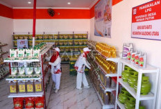 Pemerintah Siapkan Aturan Agar Kopdes Bisa jadi Pangkalan LPG 3 Kg