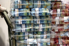 Pemotongan Dana TKD Seperti Pisau Bermata Dua