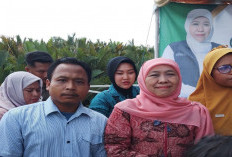 21 Ribuan PPPK Paruh Waktu Tidak Dilantik, Langsung Kerja, Faisol: Kandas Sudah