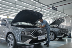 Hyundai Promise, Jaminan Aman Pembelian Mobil Bekas Serasa Mobil Baru