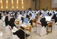 PPPK Paruh Waktu Resmi Berlaku 2025: Peluang Baru bagi Honorer Menjadi ASN