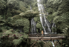 Nikmati Pemandangan Eksotis Air Terjun Banyumala Bali