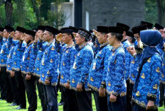 THR PNS dan PPPK Belum Jelas Kapan Cair, Apalagi P3K PW