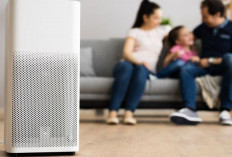 Simak! Ini 6 Tips dalam Memilih Air Purifier, Biar Gak Salah Beli dan Bikin Udara Bersih