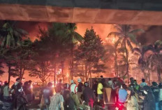 MenpanRB Menjamin Hak 3 PNS yang Wafat di Gedung DPRD Makassar