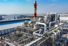 PT Freeport Indonesia Buka Lowongan Kerja Penempatan Jakarta, Deadline 10 September 2025