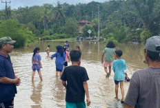 Langganan Banjir, Jalan Perbatasan Pulau Panggung–Jayakarta Diusulkan Ditinggikan