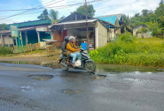 Jalan Berlubang di Desa Taba Pasmah Rawan Kecelakaan, Kades Desak Pemerintah Bertindak