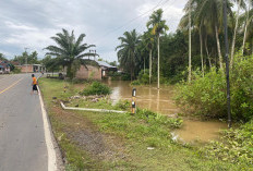 Hujan Deras Guyur Bengkulu Tengah, BPBD Minta Warga Siaga Banjir