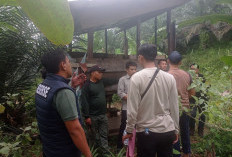 Dugaan Pelanggaran Penanaman Kelapa Sawit di Hutan Lindung, 8 Orang Sudah Diperiksa