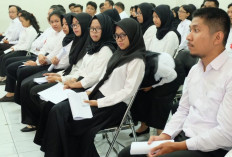 Tinggal Menghitung Hari, Tenaga Honorer R2 dan R3 PPPK Paruh Waktu di Warning Segera Isi DRH