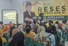 Adies Kadir: Pemerataan Pendidikan Harus Dibarengi Penguatan Literasi Digital