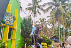 Libur Nataru, Jalan Nasional Macet, Ribuan Pengunjung Padati Wisata di Bengkulu Tengah