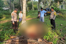 Geger, Warga Desa Pasar Pedati Temukan Sapi Mati Diduga Jadi Sasaran Percobaan Pencurian