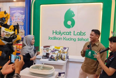 Holycat Labs Indonesia Luncurkan Teknologi Pasir Bagi Kotoran Kucing