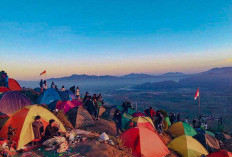 Wisata Temiangan Hill Lampung Barat, Tawarkan Pesona Negeri di Atas Awan yang Menakjubkan