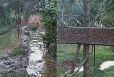 Penutupan Jalan Sawit Picu Protes, Ini Kata Sekdes Padang Tambak