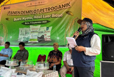Pupuk Indonesia Dorong Petani Gunakan Pupuk Organik Petroganik, Ini Alasannya