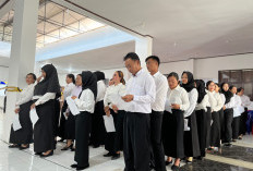 Pengangkatan PPPK Paruh Waktu 2025 Memasuki Tahap Proses Pengisian DRH